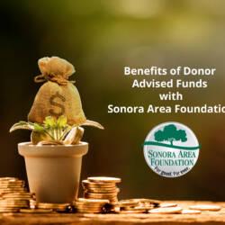 Bag of money nestled in with a potted plant. Text: Benefits of Donor Advised Funds with Sonora Area Foundation