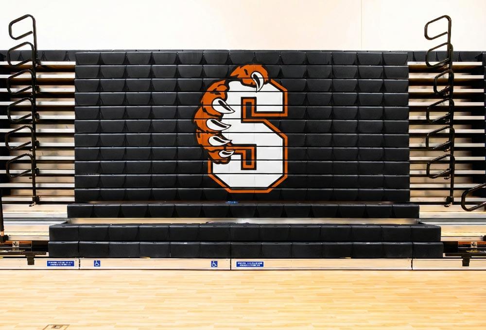Summerville Bear Bleacher Mockup Black