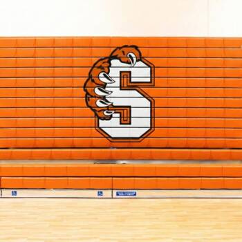 Summerville Bear Bleacher Mockup Orange