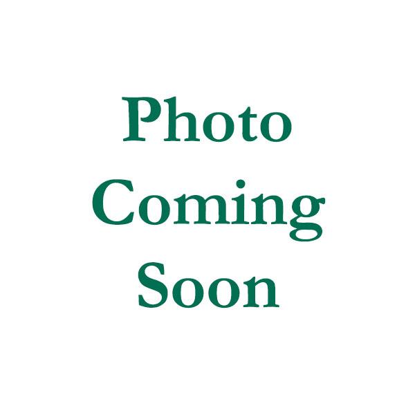 Photo Coming Soon